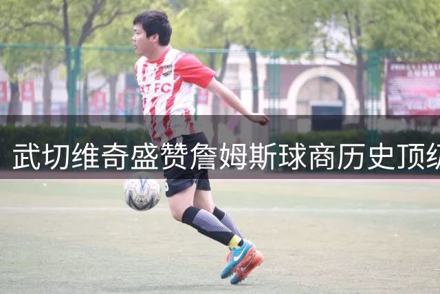 武切维奇盛赞詹姆斯球商历史顶级 称其能为争冠球队带来巨大价值