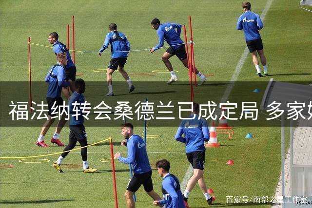 福法纳转会桑德兰已成定局 多家媒体确认交易完成